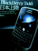 blackberry bold̃`V